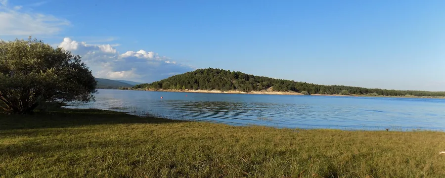 El embalse de la Cuerda del Pozo, con la orilla de hierba y los pinares al fondo