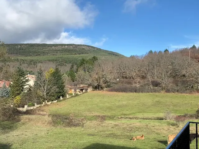 El prado y el monte enfrente del apartamento