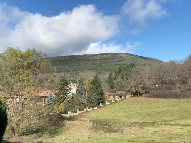 El prado verde y el robledal desde el apartamento